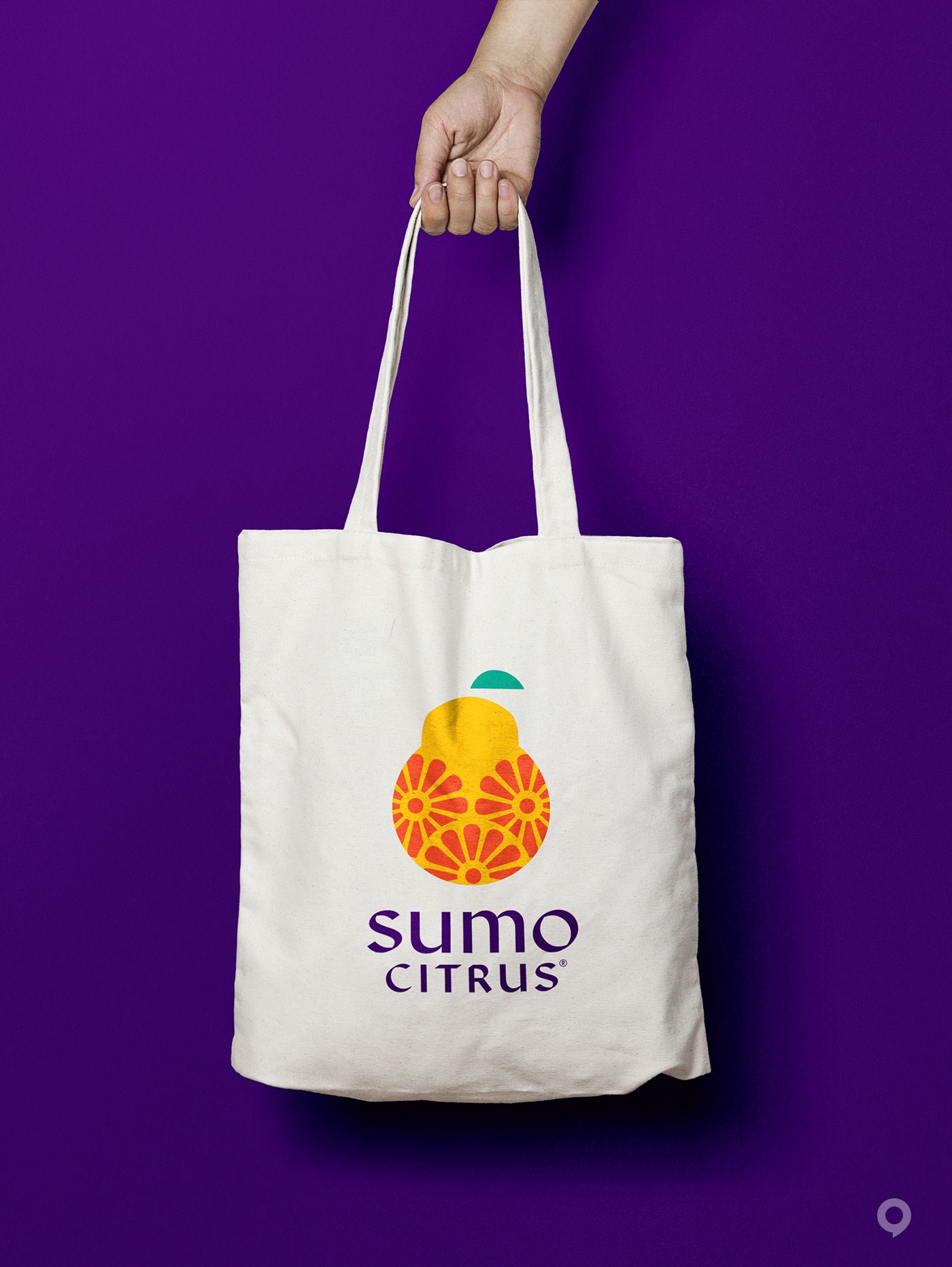 美國Sumo Citrus甜橙包裝設(shè)計(jì)欣賞(圖8)